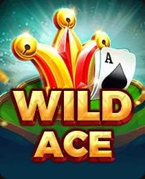 Wild Ace &mdash; Slots on the 101F Game app